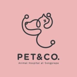 โรงพยาบาลสัตว์ Pet&Co