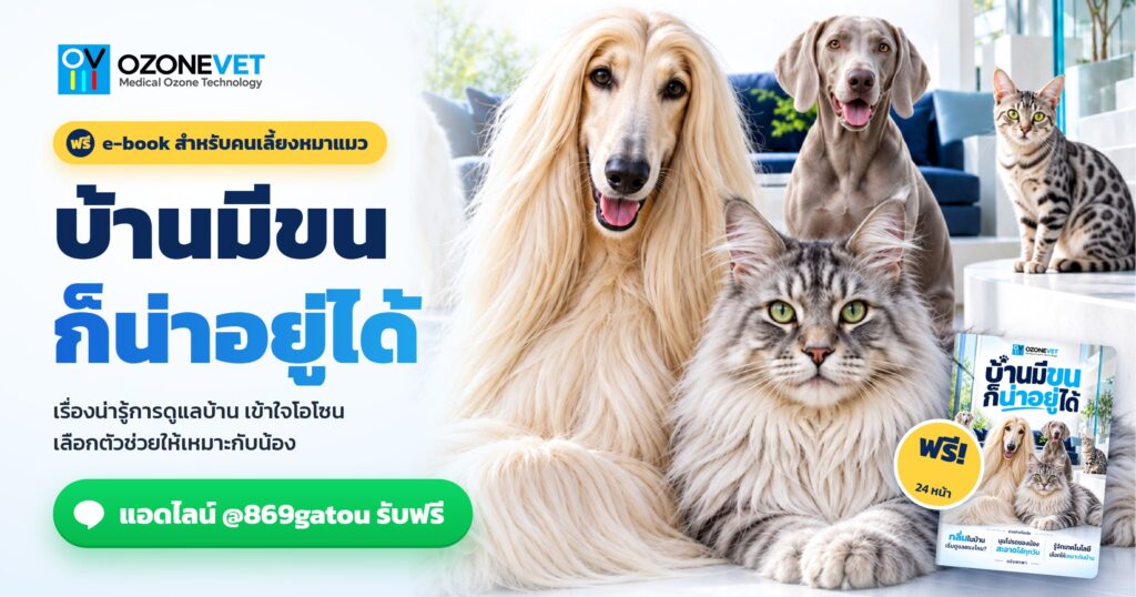 แจกฟรี e-book บ้านมีขน ก็น่าอยู่ได้ เรื่องน่ารู้สำหรับคนเลี้ยงหมาแมว โดย OZONEVET แอดไลน์ @869gatou รับฟรี
