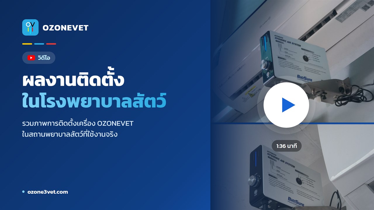 วิดีโอ ผลงานติดตั้งในโรงพยาบาลสัตว์ กดเพื่อเล่น