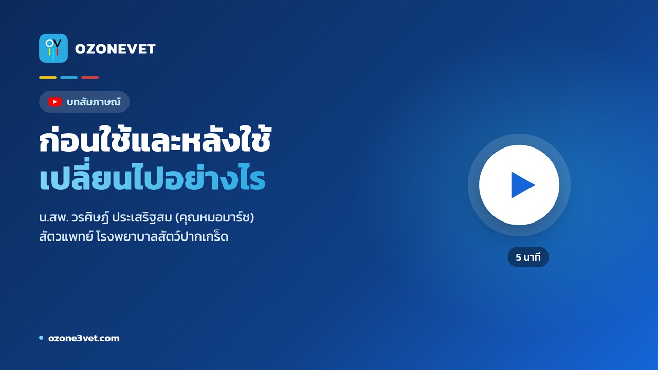 วิดีโอ บทสัมภาษณ์สัตวแพทย์ โรงพยาบาลสัตว์ปากเกร็ด กดเพื่อเล่น